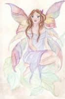 rainbow wings fairy